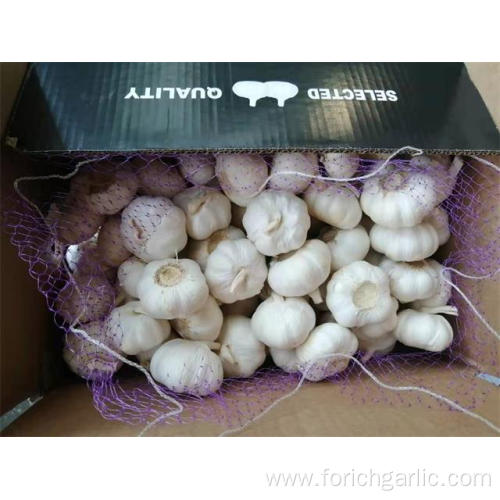 2019 Fresh New Crop Pure White Garlic